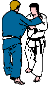 Ko soto gari