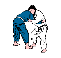 Tani otoshi