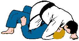 Tate shiho gatame