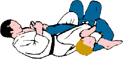 Ude hishigi juji gatame