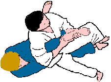Ude hishigi waki gatame