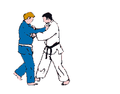 Ipon seoi nage